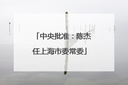 中央批准：陈杰任上海市委常委