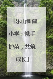 乐山新建小学：携手护苗，共筑成长