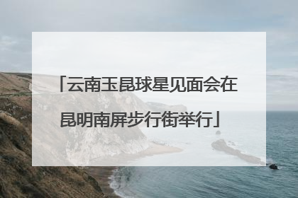 云南玉昆球星见面会在昆明南屏步行街举行