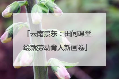 云南景东：田间课堂绘就劳动育人新画卷