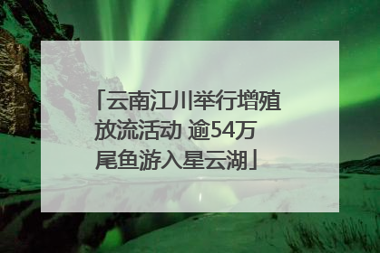 云南江川举行增殖放流活动 逾54万尾鱼游入星云湖