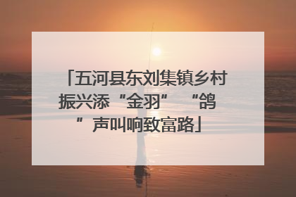 五河县东刘集镇乡村振兴添“金羽” “鸽”声叫响致富路