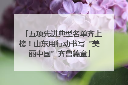 五项先进典型名单齐上榜！山东用行动书写“美丽中国”齐鲁篇章