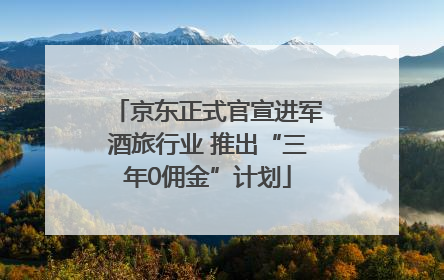 京东正式官宣进军酒旅行业 推出“三年0佣金”计划