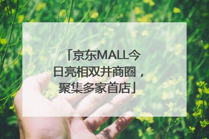 京东MALL今日亮相双井商圈，聚集多家首店