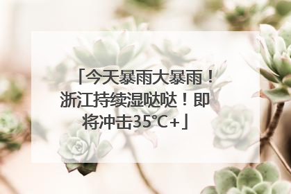 今天暴雨大暴雨！浙江持续湿哒哒！即将冲击35℃+