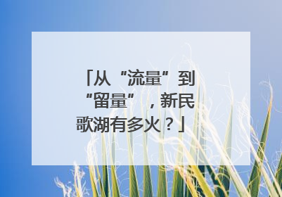 从“流量”到“留量”，新民歌湖有多火？