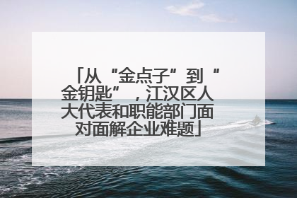 从“金点子”到“金钥匙”，江汉区人大代表和职能部门面对面解企业难题