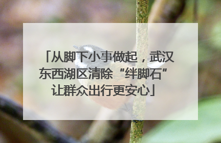 从脚下小事做起，武汉东西湖区清除“绊脚石”让群众出行更安心