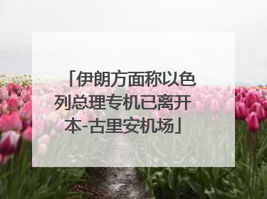 伊朗方面称以色列总理专机已离开本-古里安机场
