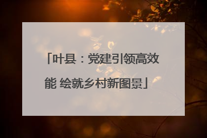 叶县：党建引领高效能 绘就乡村新图景