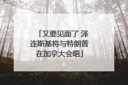 又要见面了 泽连斯基将与特朗普在加拿大会晤