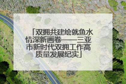 双拥共建绘就鱼水情深新画卷——三亚市新时代双拥工作高质量发展纪实