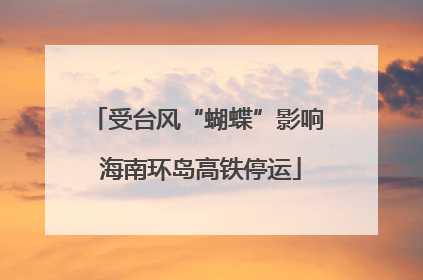受台风“蝴蝶”影响 海南环岛高铁停运