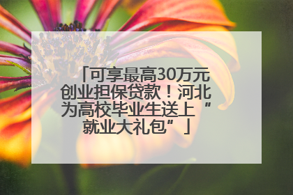 可享最高30万元创业担保贷款！河北为高校毕业生送上“就业大礼包”