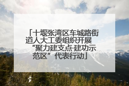 十堰张湾区车城路街道人大工委组织开展 “聚力建支点·建功示范区”代表行动