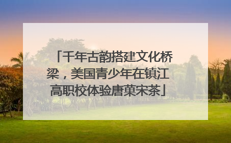千年古韵搭建文化桥梁，美国青少年在镇江高职校体验唐菓宋茶