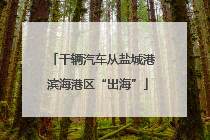 千辆汽车从盐城港滨海港区“出海”