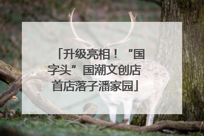 升级亮相！“国字头”国潮文创店首店落子潘家园