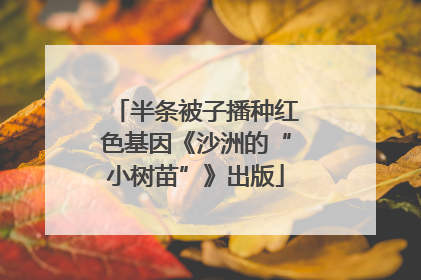 半条被子播种红色基因《沙洲的“小树苗”》出版