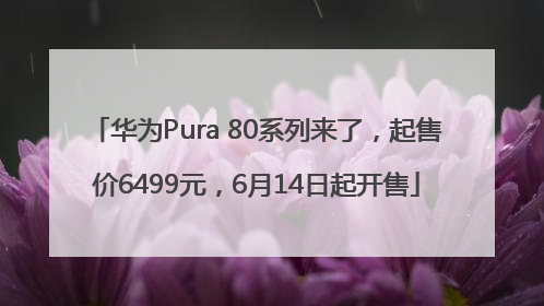 华为Pura 80系列来了，起售价6499元，6月14日起开售
