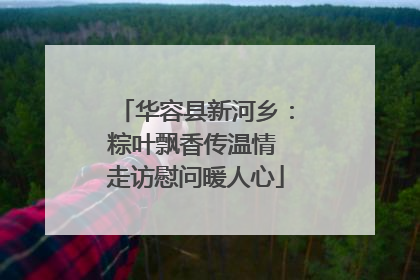 华容县新河乡：粽叶飘香传温情 走访慰问暖人心