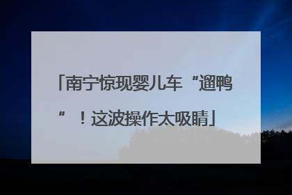 南宁惊现婴儿车“遛鸭”！这波操作太吸睛