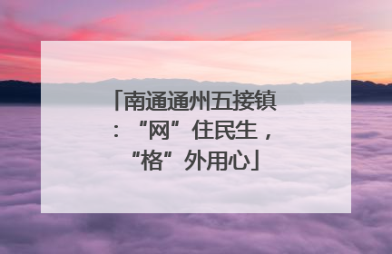 南通通州五接镇：“网”住民生，“格”外用心