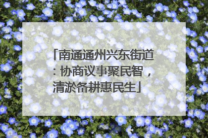 南通通州兴东街道：协商议事聚民智，清淤备耕惠民生