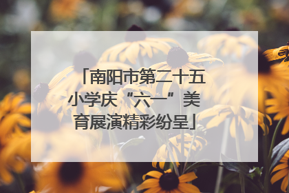 南阳市第二十五小学庆“六一”美育展演精彩纷呈