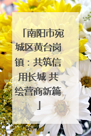 南阳市宛城区黄台岗镇：共筑信用长城 共绘营商新篇