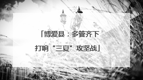 博爱县：多管齐下 打响“三夏”攻坚战