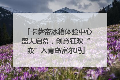 卡萨帝冰箱体验中心盛大启幕，创意狂欢“嵌”入青岛富尔玛