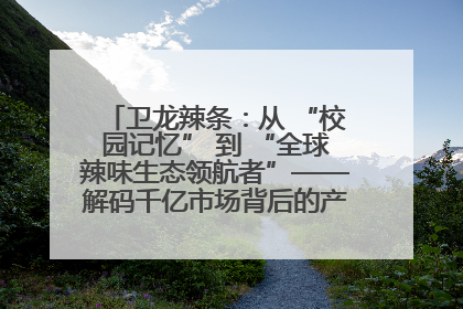 卫龙辣条：从 “校园记忆” 到 “全球辣味生态领航者”——解码千亿市场背后的产品创新与全链路破圈