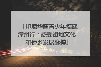 印尼华裔青少年福建漳州行：感受祖地文化和侨乡发展脉搏