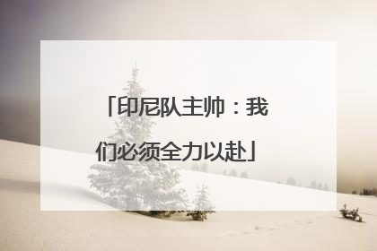 印尼队主帅：我们必须全力以赴