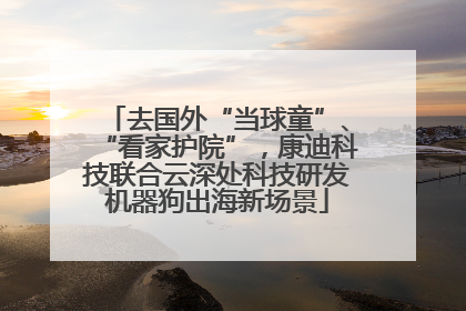 去国外“当球童”、“看家护院”，康迪科技联合云深处科技研发机器狗出海新场景