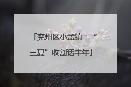 兖州区小孟镇：“三夏”收割话丰年