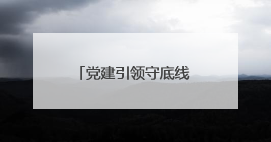 党建引领守底线 药品安全筑根基