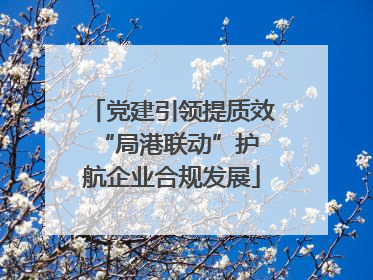 党建引领提质效 “局港联动”护航企业合规发展