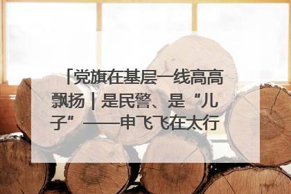 党旗在基层一线高高飘扬｜是民警、是“儿子”——申飞飞在太行山中的一线坚守