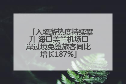 入境游热度持续攀升 海口美兰机场口岸过境免签旅客同比增长187%