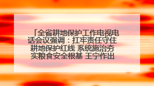 全省耕地保护工作电视电话会议强调：扛牢责任守住耕地保护红线 系统施治夯实粮食安全根基 王宁作出批示 王予波出席并讲话