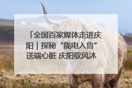 全国百家媒体走进庆阳｜探秘“陇电入鲁”送端心脏 庆阳驭风沐光点亮齐鲁万家