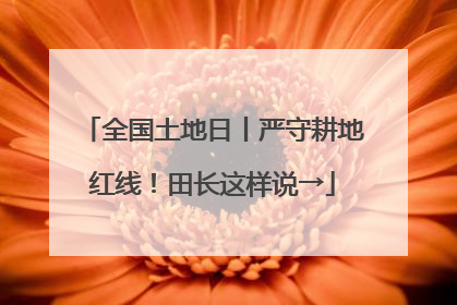 全国土地日丨严守耕地红线！田长这样说→