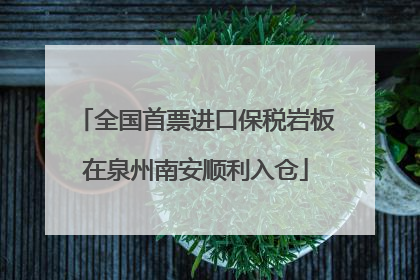 全国首票进口保税岩板在泉州南安顺利入仓