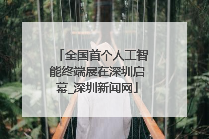 全国首个人工智能终端展在深圳启幕_深圳新闻网