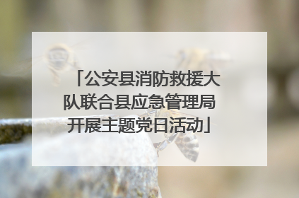 公安县消防救援大队联合县应急管理局开展主题党日活动