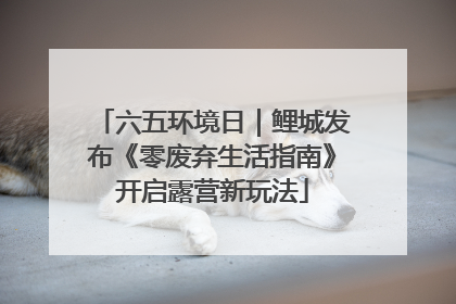 六五环境日｜鲤城发布《零废弃生活指南》开启露营新玩法