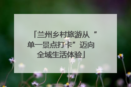 兰州乡村旅游从“单一景点打卡”迈向全域生活体验